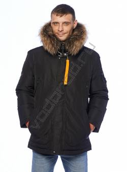 Зимняя куртка мужская Черный 19