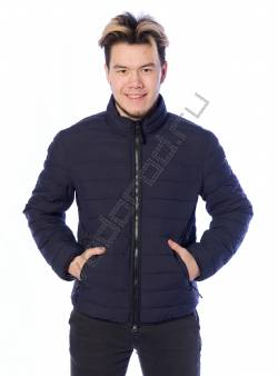 Куртка еврозима мужская Синий 43